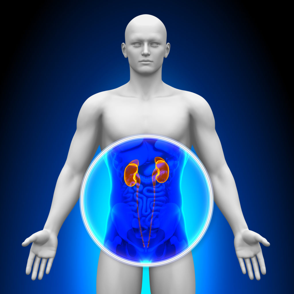 What Are The Symptoms Of Kidney Cancer Top Urologist NYC