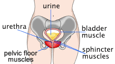 best-urologist-female-incontinence-treatment-cure-nyc-02